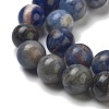 Natural Sodalite Beads Strands GSR8mmC013-1-3