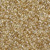 Glass Seed Beads X1-SEED-A006-3mm-102-2