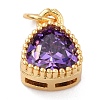 Real 18K Gold Plated Brass Inlaid Cubic Zirconia Charms ZIRC-L100-076G-3