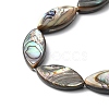 Natural Paua Shell Beads Strands SHEL-F006-05-3