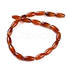 Natural Red Agate Beads Strands G-NH0019-C01-05-2