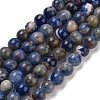 Natural Sodalite Beads Strands GSR8mmC013-1-1