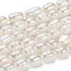 Natural Cultured Freshwater Pearl Beads Strands X-PEAR-S012-41-5