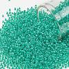 TOHO Round Seed Beads SEED-JPTR11-1832-1