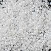 Glass Seed Beads SEED-S042-13A-01-4