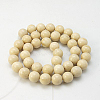 Natural Fossil Beads Strands X-G-E110-12mm-2-2