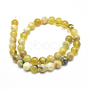 Natural Yellow Opal Round Bead Strands G-M296-02-10mm-4