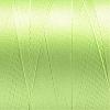 Nylon Sewing Thread NWIR-N006-01R-0.2mm-2