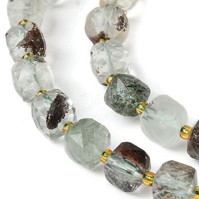 Natural Green Lodolite Quartz/Garden Quartz Beads Strands G-Q010-A18-01-1