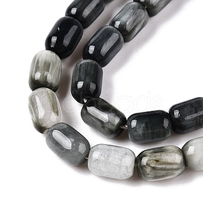 Natural Eagle Eye Stone Beads Strands G-G980-43-1