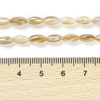 Natural Freshwater Shell Beads Strands BSHE-G036-03-1