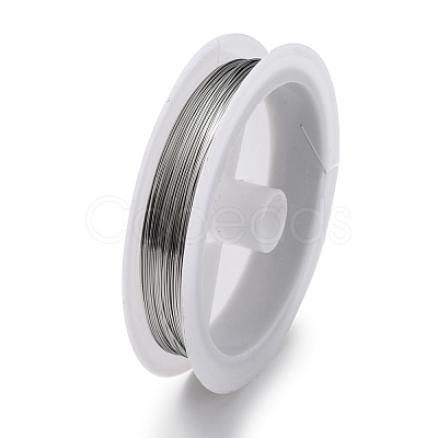 Non-Tarnish 10 Rolls 304 Stainless Steel Wire TWIR-H001-01D-P-1