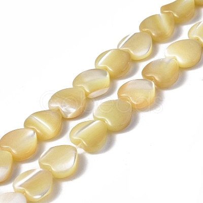 Natural Trochid Shell/Trochus Shell Beads Strands SHEL-F003-08C-1