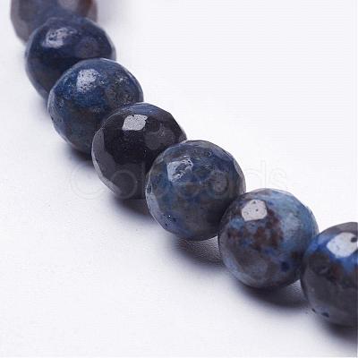 Natural Silver Leaf Jasper Beads Strands G-K181-8mm-O03-1