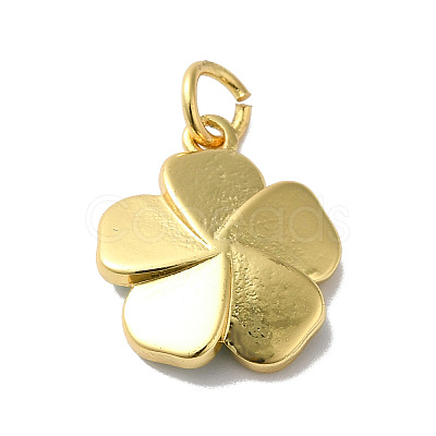 Rack Plating Brass Enamel Charms KK-O142-56G-1