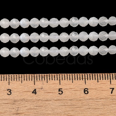 Natural Rainbow Moonstone Beads Strands G-B074-B07-03-1