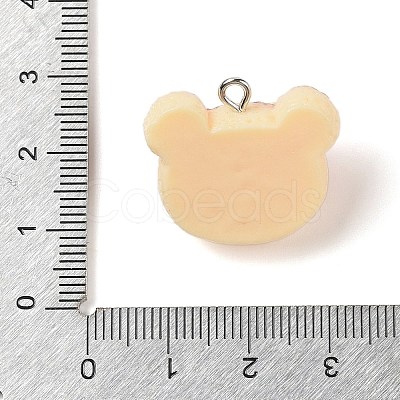 Resin Imitation Food Pendants FIND-U001-02B-1