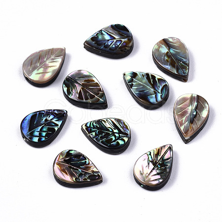 Natural Abalone Shell/Paua Shell Beads SSHEL-T014-08-1