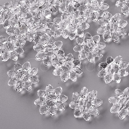 Transparent Acrylic Beads TACR-491-01-1