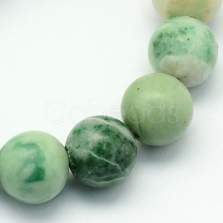 Natural Qinghai Jade Beads Strands G-S141-04-1