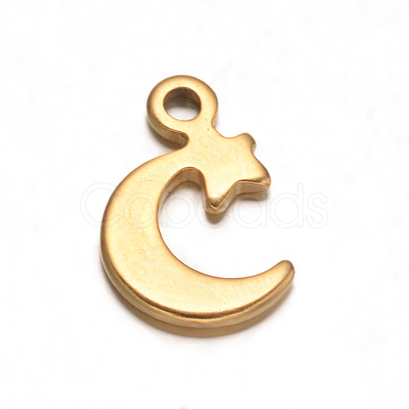 304 Stainless Steel Moon Charms STAS-M221-05G-1