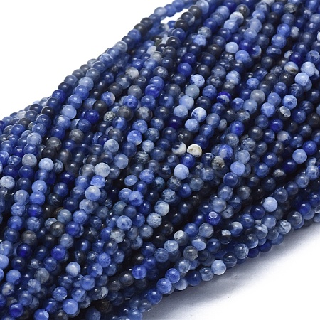 Natural Sodalite Beads Strands G-A177-04-22-1