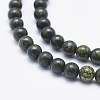 Natural Serpentine/Green Lace Stone Beads Strands G-P345-01-10mm-3