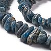 Natural Kyanite Beads Strands G-F719-09-3