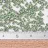 MIYUKI Delica Beads SEED-JP0008-DB2310-4