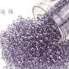 TOHO Round Seed Beads X-SEED-TR08-1300-1