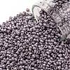 TOHO Round Seed Beads SEED-JPTR11-0554F-1