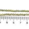 Natural Green Apatite Beads Strands G-F770-C03-02-5