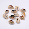 Natural Cowrie Shell Beads BSHE-Q295-4-1