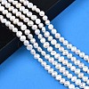Natural Cultured Freshwater Pearl Beads Strands PEAR-N014-07B-6