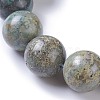 Natural African Turquoise(Jasper) Beads Strands G-E524-10-25mm-3