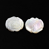 Natural White Shell Carved Cabochons SSHEL-M022-07-2