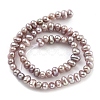 Natural Cultured Freshwater Pearl Beads Strands PEAR-C003-33C-3