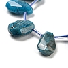 Natural Apatite Beads Strands G-Z040-A07-01-4