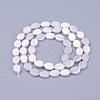 Shell Pearl Beads Strands BSHE-L041-03-3