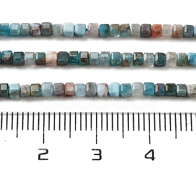 Natural Blue Apatite Beads Strands G-P457-B01-14B-1