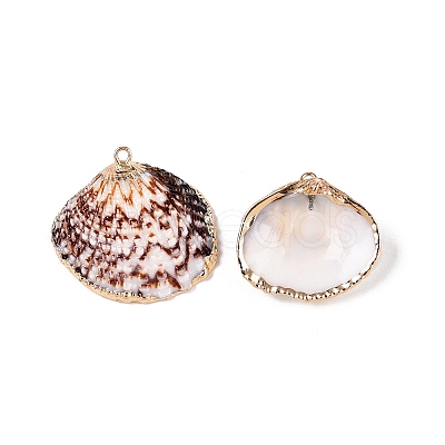 Natural Sea Shell Pendants SSHEL-N038-19-1