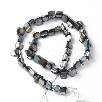 Erose Natural Shell Beads Strands X-PBB070Y-1