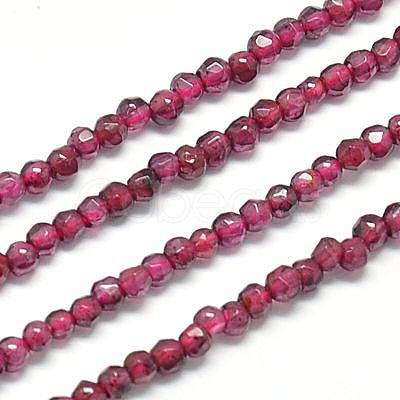 Natural Garnet Beads Strands G-J002-20-1