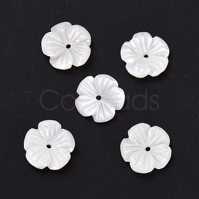 Natural Trochid Shell/Trochus Shell Beads SHEL-P014-02B-1