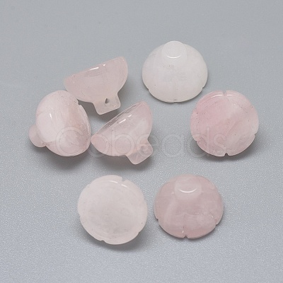 Natural Rose Quartz Beads G-F637-01F-1