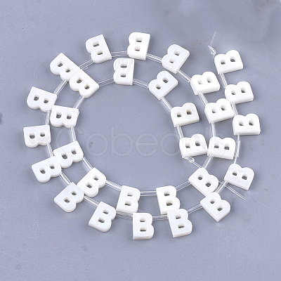 Natural Freshwater Shell Beads SHEL-T012-59B-1