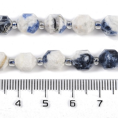 Natural Sodalite Beads Strands G-O201B-112F-1