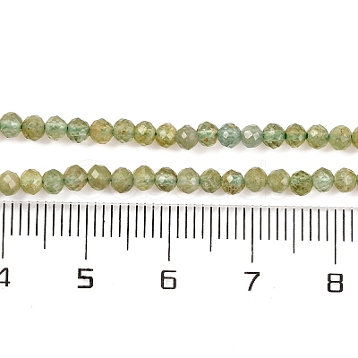 Natural Green Apatite Beads Strands G-F770-C03-02-1