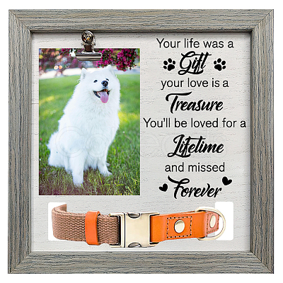 MDF Pet Photo Frames DIY-WH0525-017-1