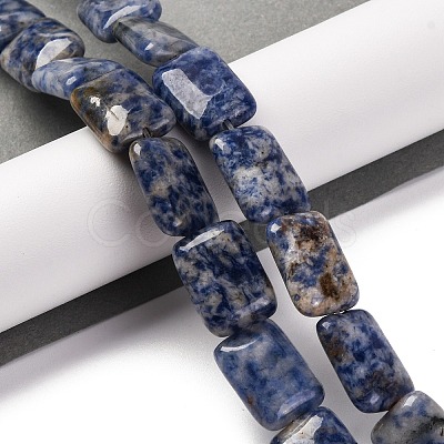 Natural Blue Spot Jasper Beads Strands G-T047-B10-01-1